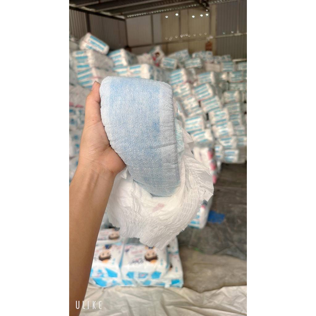 2 bịch bỉm PRINFA HOÀNG GIA L-XL-XXL-XXXL- 4XL