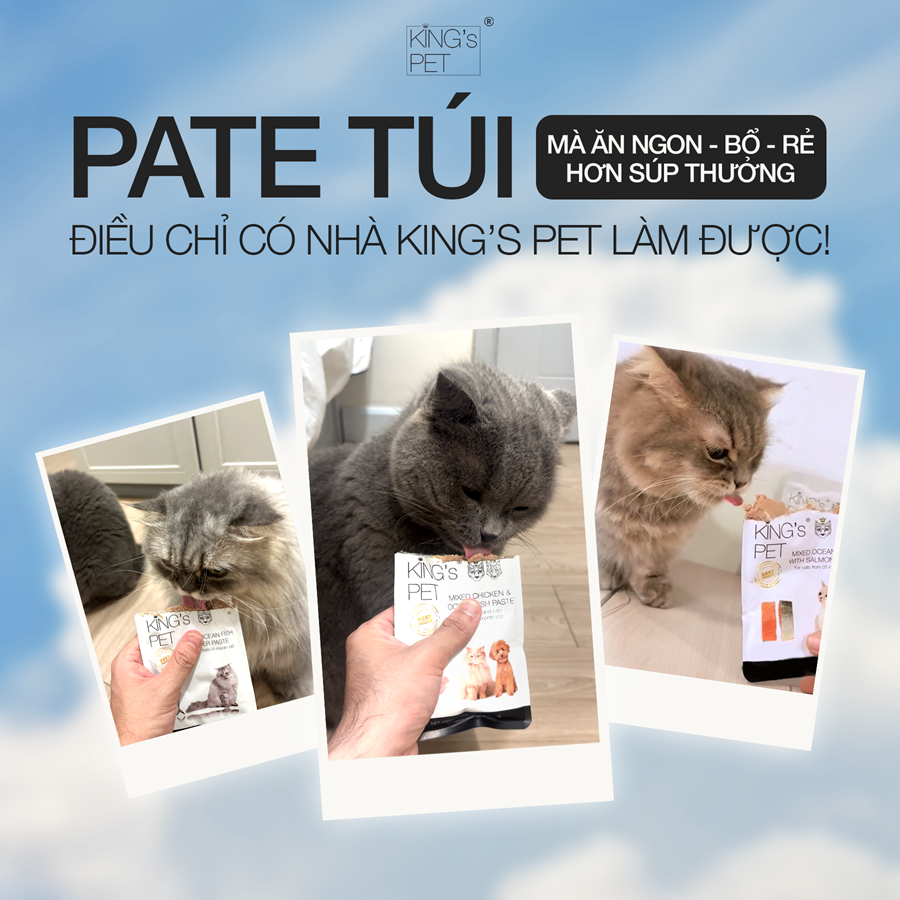 Pate Gà Cá King’s Pet Túi 70gr Thức Ăn Cho Chó Mèo (lốc 12 túi)