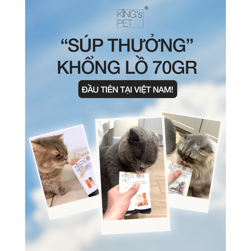 Pate Gà Cá King’s Pet Túi 70gr Thức Ăn Cho Chó Mèo (lốc 12 túi)