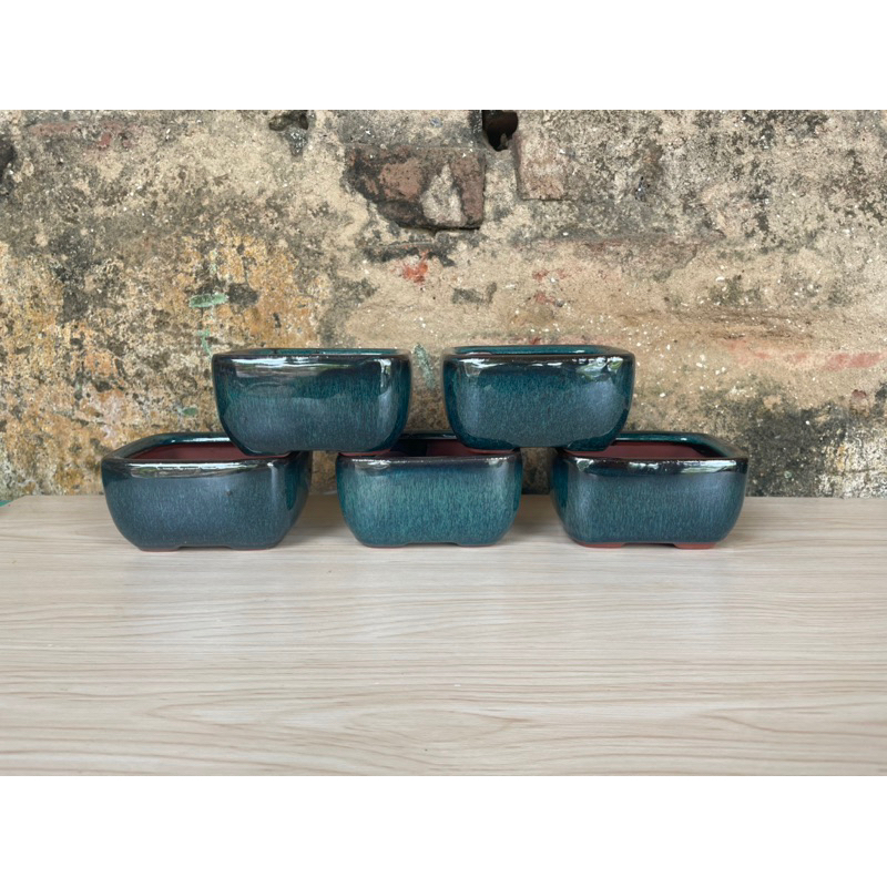 CHẬU MINI BỂ BẦU ( 11 x 8 x 5 )Trồng Bonsai sen đá