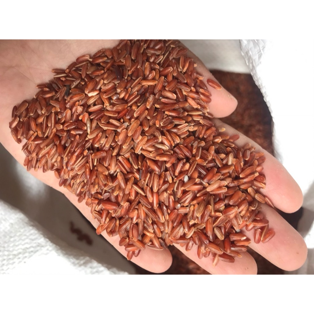 gạo lứt cho gà 1kg