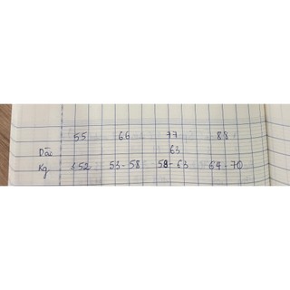Áo len nữ tay dài loe