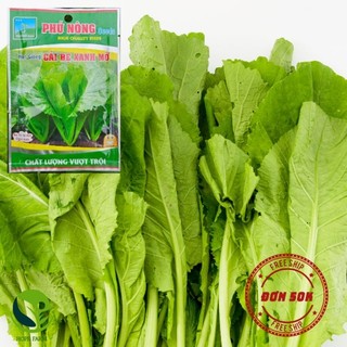 Hạt giống cải bẹ xanh phú nông cao sản, dễ trồng, năng suất cao 20gr