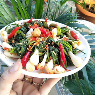Củ kiệu muối chua ngọt❤️GIÁ SỈ❤️đặc sản quảng trị