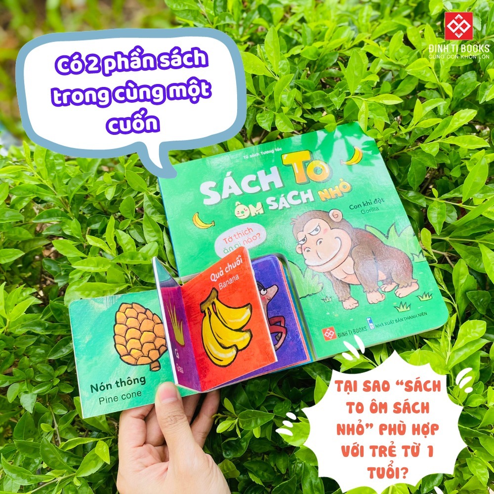 Sách - bộ sách to ôm sách nhỏ dành cho trẻ 3-6 tuổi - Đinh Tị Books