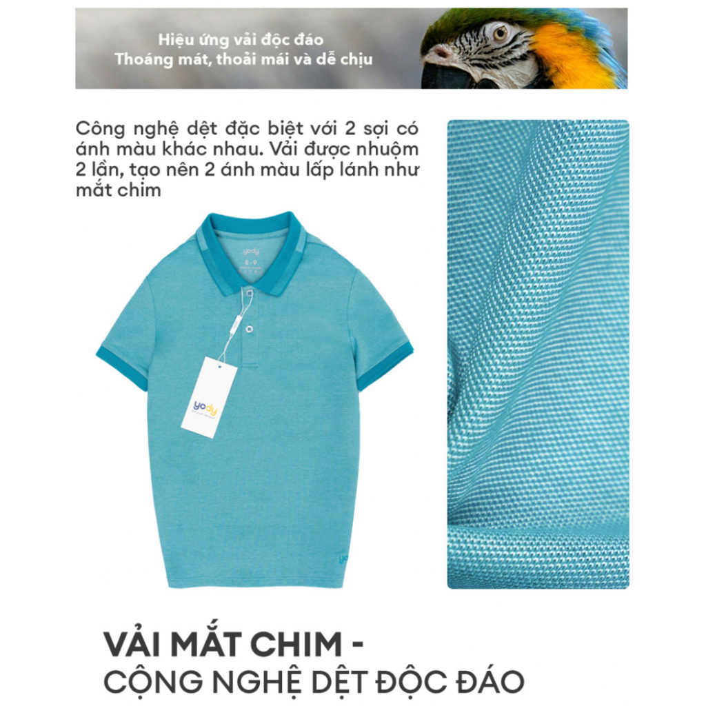 Áo Polo Trẻ Em Mắt Chim Bo Phối chất liệu cao cấp kiểu dáng năng động KID3052 - APK5177