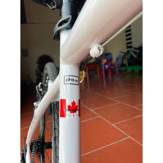 (HOT) XE ĐẠP LOUIS GARNEAU LGS - CH 2024