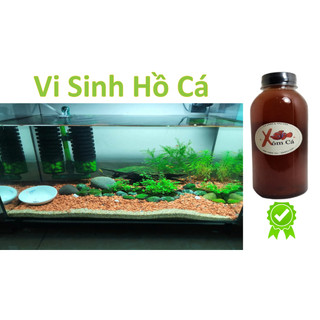 Vi sinh hồ cá thuỷ sinh - Nước vi sinh bể cá - Xử lý nước hồ cá - Vi sinh trong nước hồ cá - Men vi sinh hồ cá - Xóm Cá