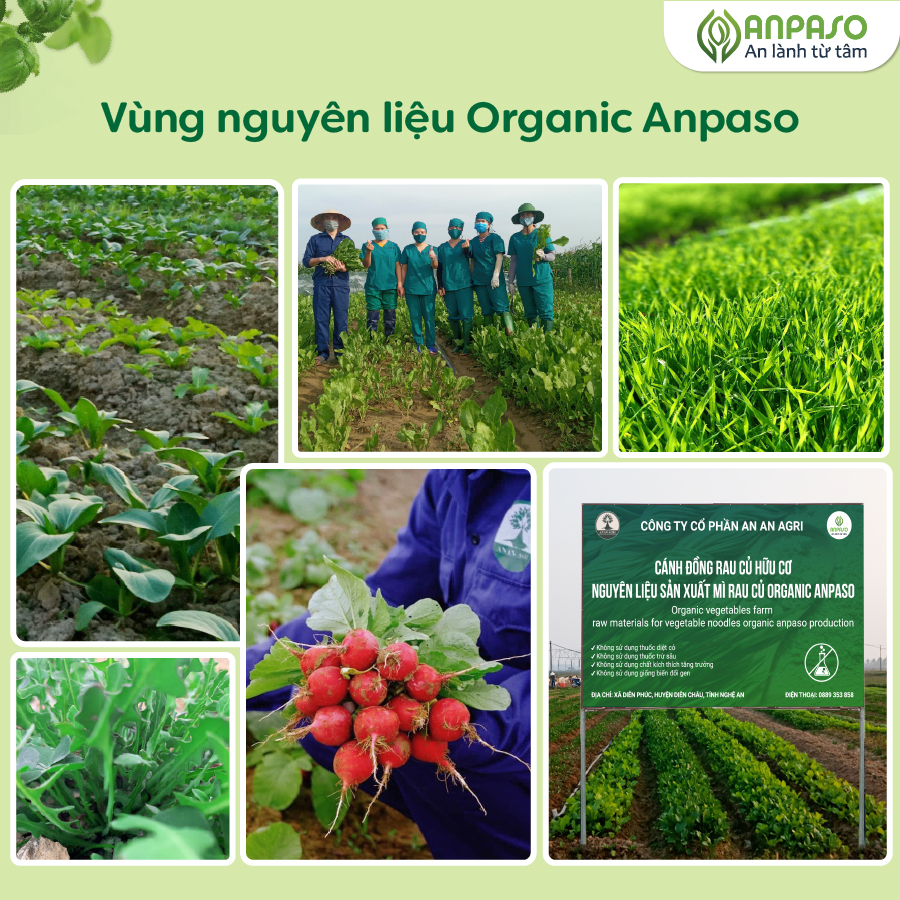 Mì Ăn Dặm Anpaso Rau Củ Hữu Cơ / Organic, Đồ ăn dặm cho bé 6 tháng, Mỳ ăn dặm Kiểu Nhật, Bổ Sung Chất Xơ