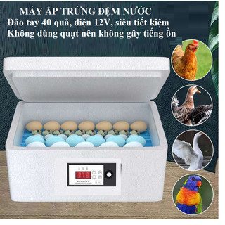 Máy ấp trứng đệm nước 20- 50 quả tiết kiệm điện