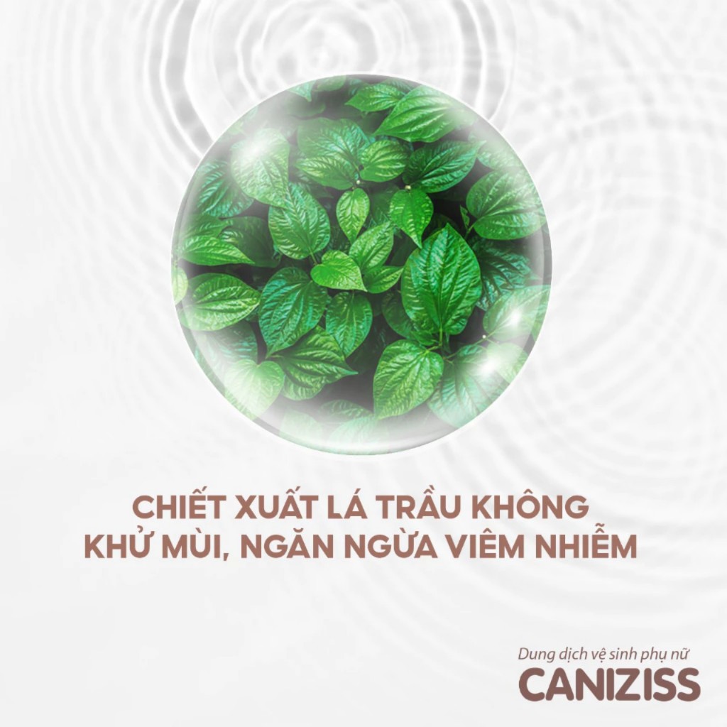 Sữa Vệ Sinh Phụ Nữ Ngăn Ngừa Viêm Nhiễm Hương Nước Hoa SANTAFA _Chai 120ml