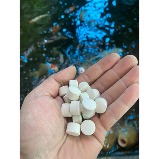 Vi sinh bio koi fish -nhập khẩu mỹ nước trong cá khoẻ hạn chế nấm bệnh - không cần thay nước nhiều