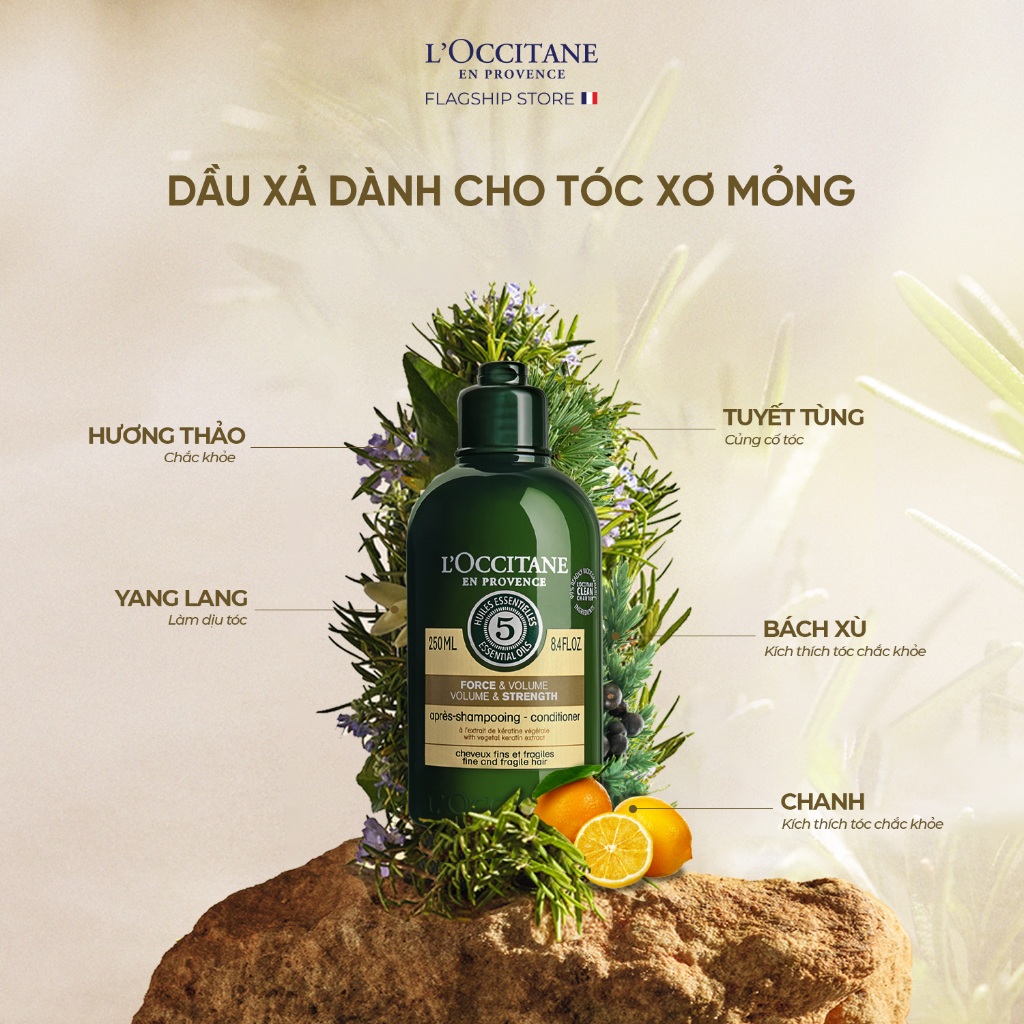 Dầu Gội - Dầu Xả L'Occitane Phục Hồi Tóc Chắc Khoẻ & Bồng Bềnh Tự Nhiên Volume & Strength 250ml - 300ml