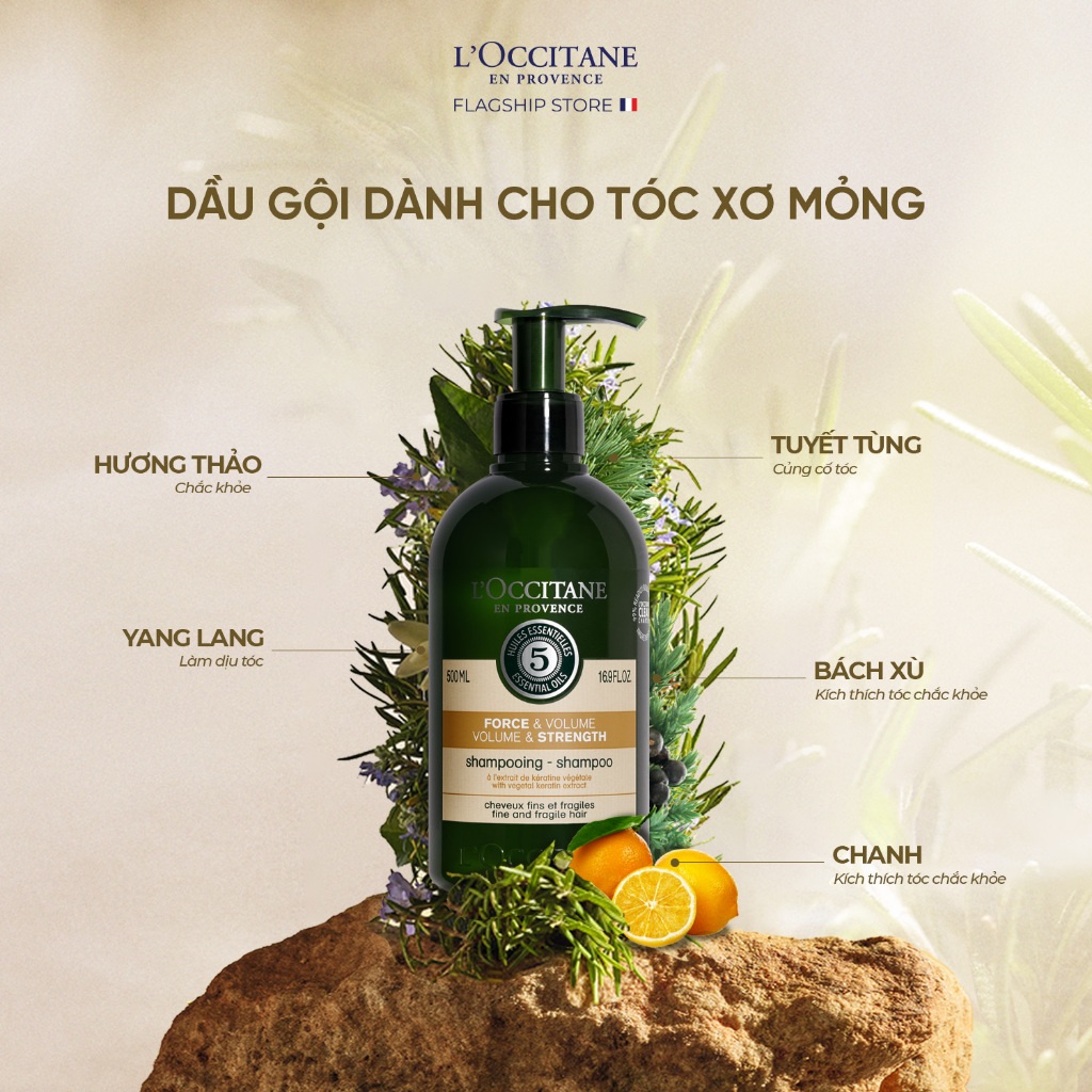 Dầu Gội - Dầu Xả Phục Hồi Tóc Chắc Khoẻ và Bồng Bềnh Tự Nhiên L'Occitane Aromachologie Volume & Strength Shampoo 500ml