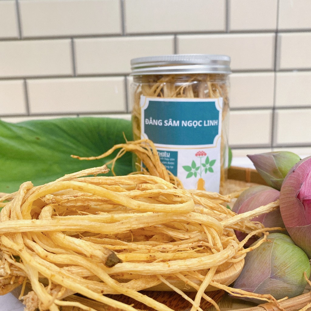 Sâm Dây Ngọc Linh Đẳng Sâm Măng Đen Đặc Sản The Măng Đen Kon Tum