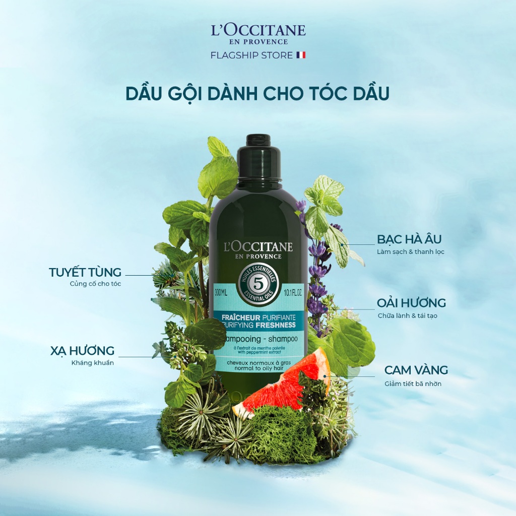 Dầu Gội - Dầu Xả Purifying Dành Cho Tóc Dầu L'Occitane  Aromachologie Purifying  Shampoo 300ml & Conditioner 250ml