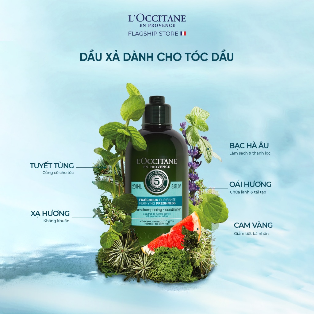 Dầu Gội - Dầu Xả Purifying Dành Cho Tóc Dầu L'Occitane  Aromachologie Purifying  Shampoo 300ml & Conditioner 250ml