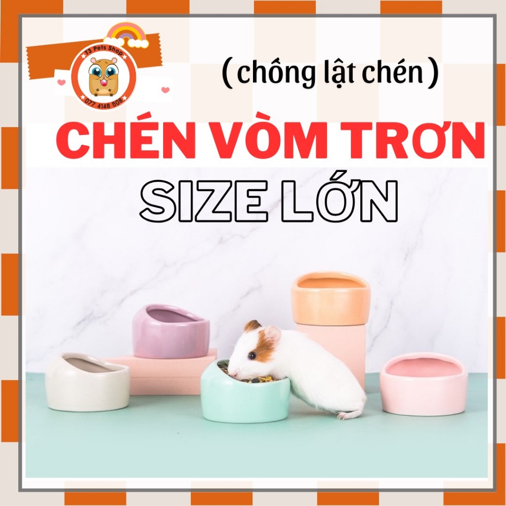 chén vòm trơn size lớn cho hamster /sóc /nhím /fat tail /dumbo / rat