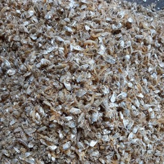 0,5 kg đầu cá cơm khô cho chó, mèo ăn