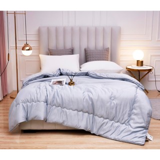 Chăn đông,ruột chăn đông tơ tằm nhập khẩu cao cấp size 2-2m3