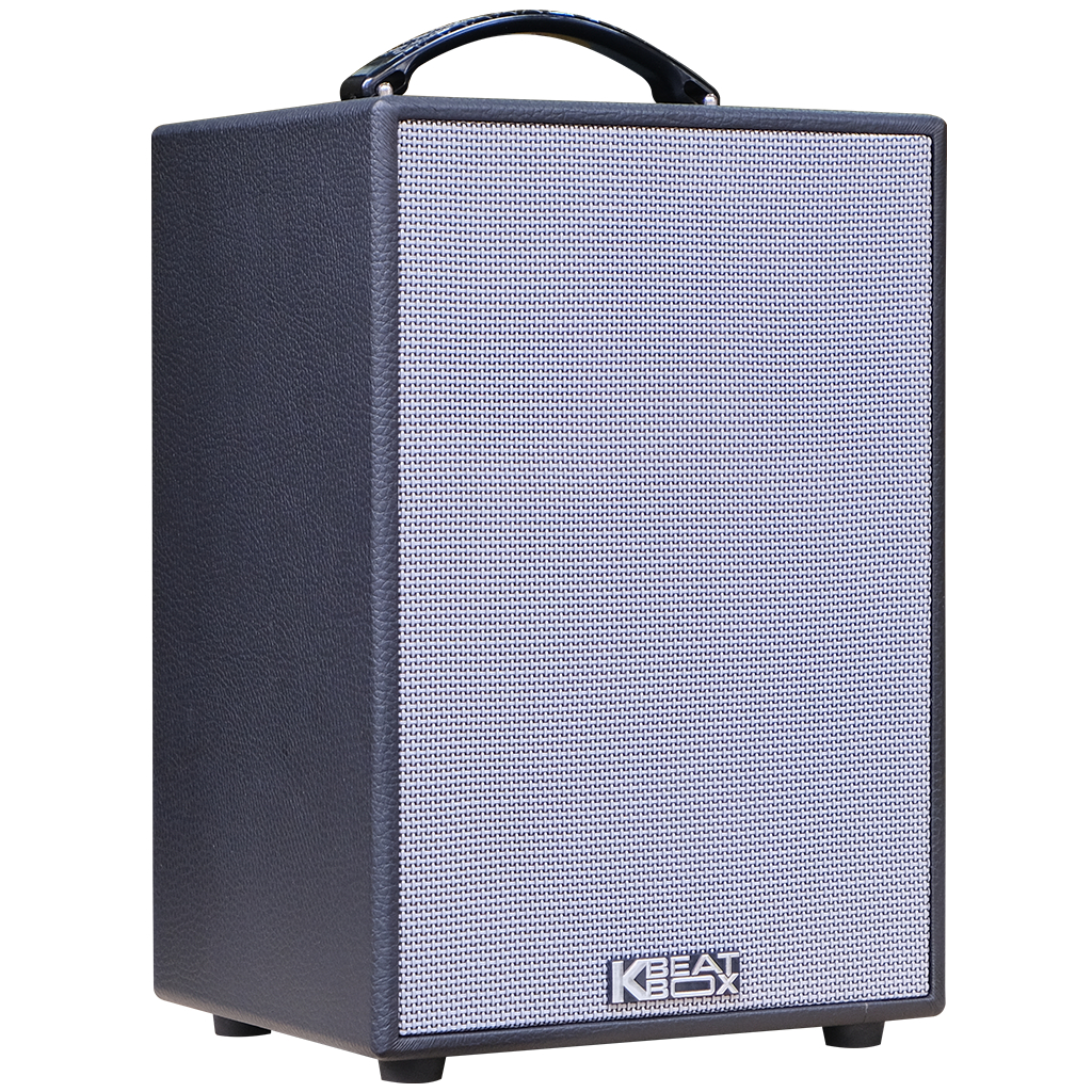 Dàn âm thanh di động xách tay ACNOS CS121