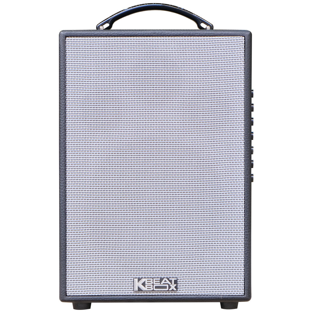 Dàn âm thanh di động xách tay ACNOS CS121