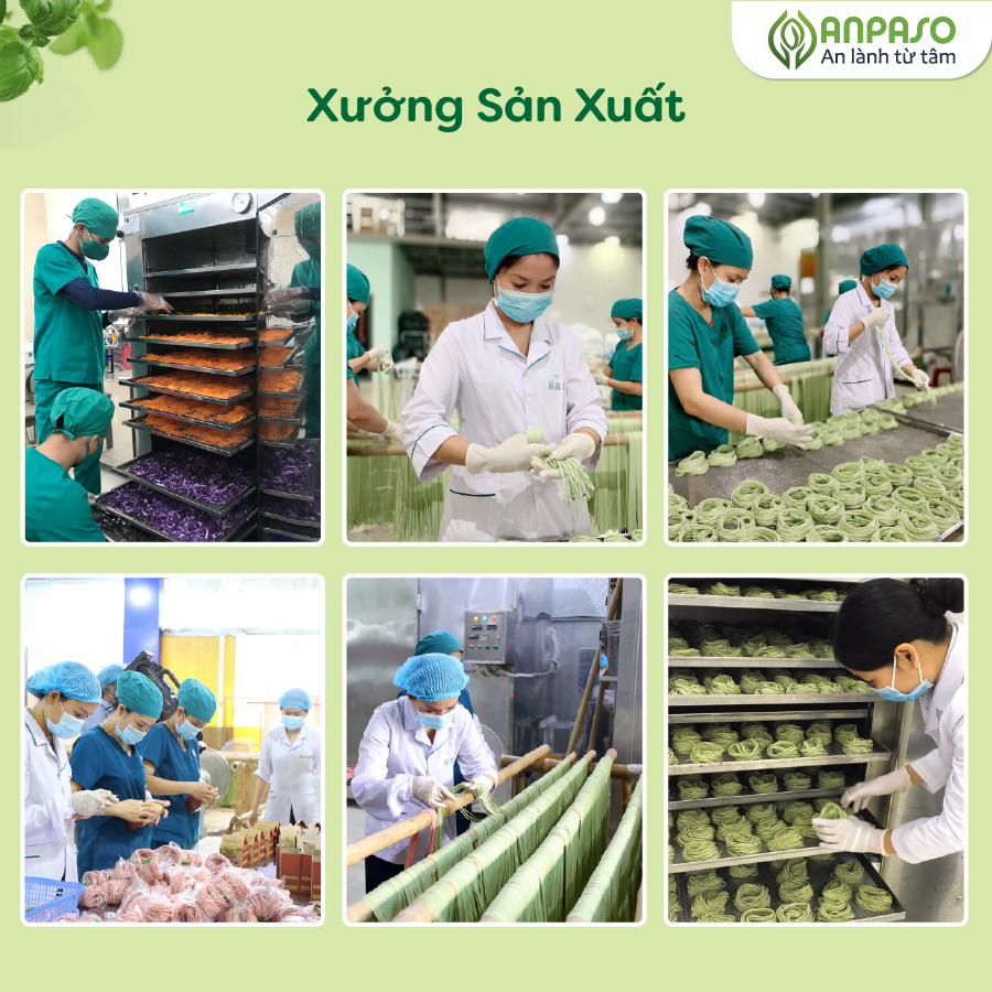 Mì Củ Nghệ Nguyên Chất Anpaso Eat Clean, Thanh Mát, Giảm Cân, Ăn Chay, Bổ Sung Chât Xơ, Tốt Cho Tiêu Hóa 120g