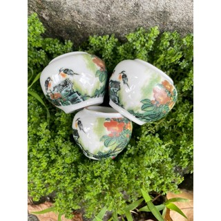 Cóng chim chào mào, bộ 3 cóng đã kèm tai, cóng decan tàu