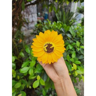 Trang trí, lên bó hoa, giỏ quà tốt nghiệp