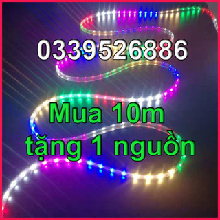 Dây Led hiệu ứng chạy đuổi 2 hàng led 220V - dây led trang trí ngoài trời