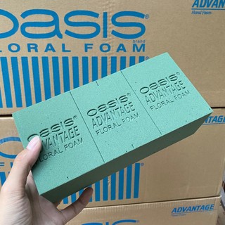 10 viên xốp cắm hoa oasis