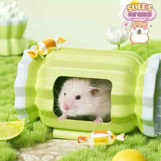 〖order〗 𝐂𝐀𝐑𝐍𝐎 nhà ngủ, bát ăn gốm sứ kẹo cho hamster