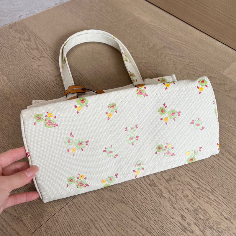 Túi coach disney tote màu mới