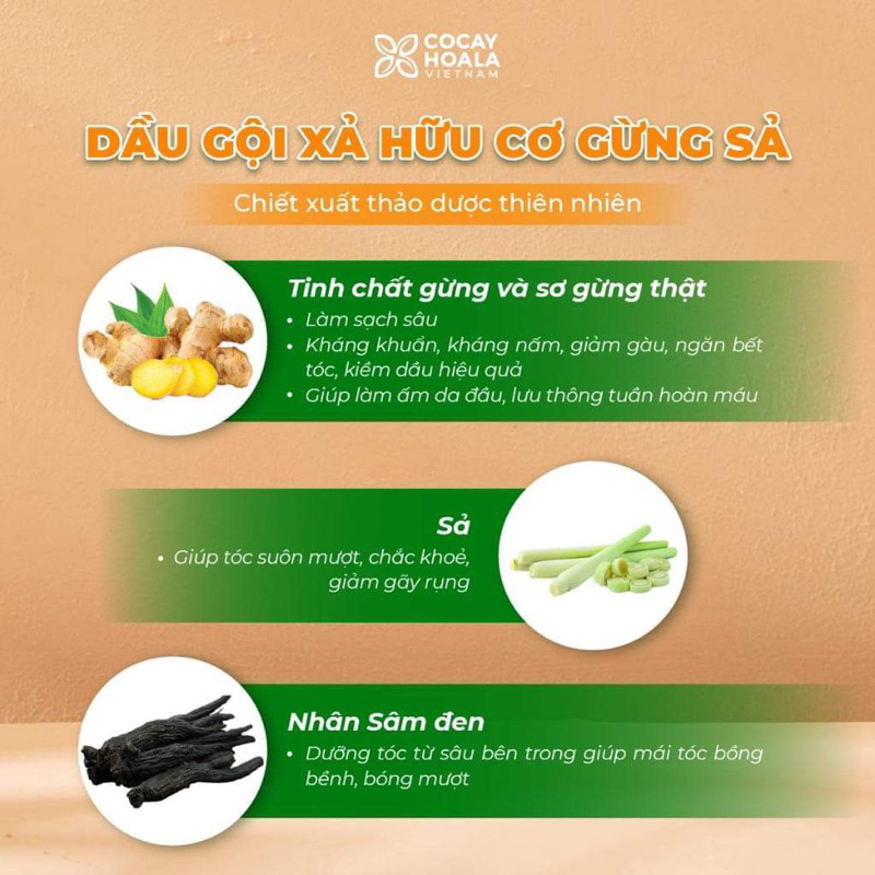 Dầu gội dầu xả gừng sả