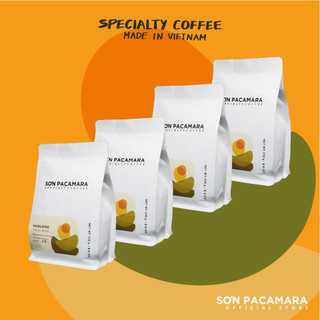 Combo 4 gói heirloom 250gr - phù hợp pha pour over / cold brew