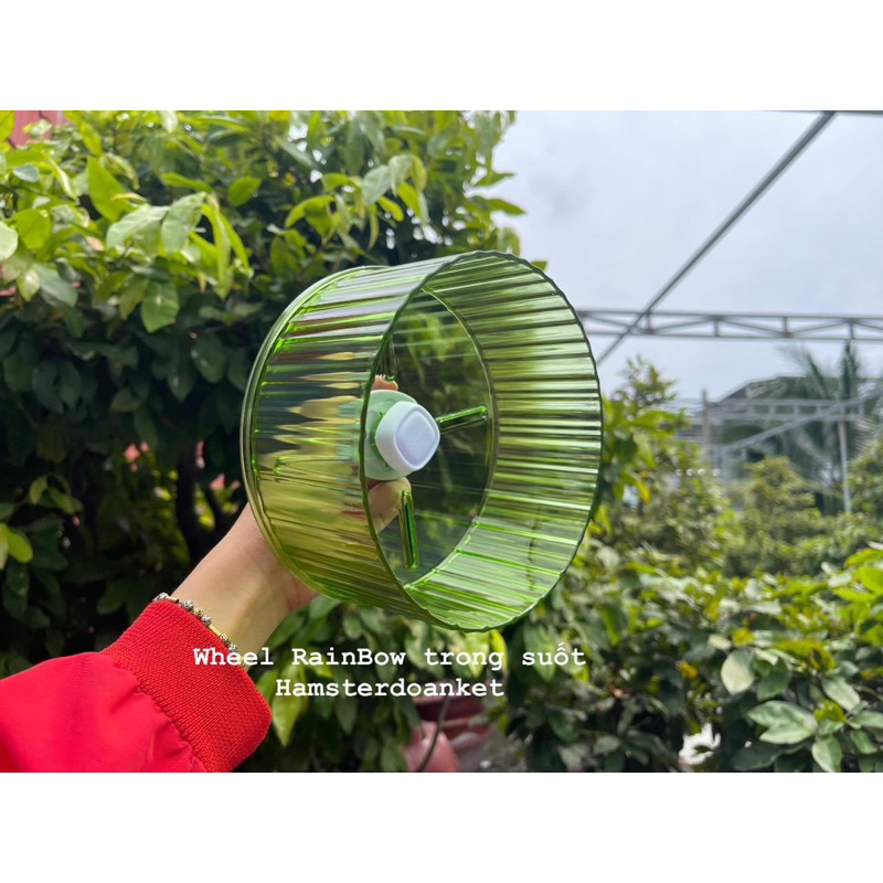 WHEEL VẬN ĐỘNG CHO HAMSTER - Wheel RainBow trong suốt