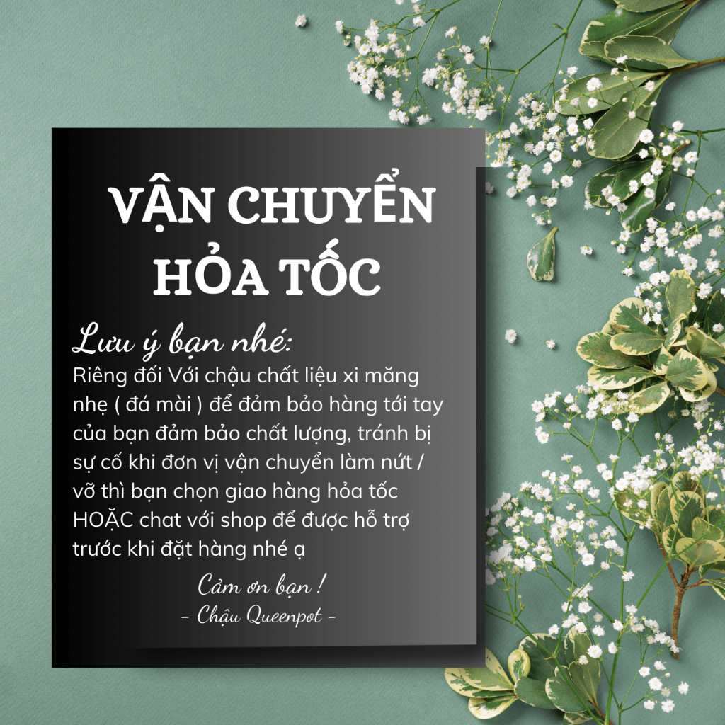 Chậu vuông xi măng nhẹ