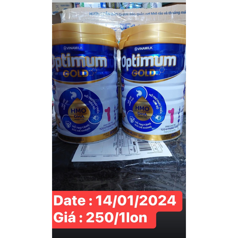 OptiMum Gold 1 0-6th