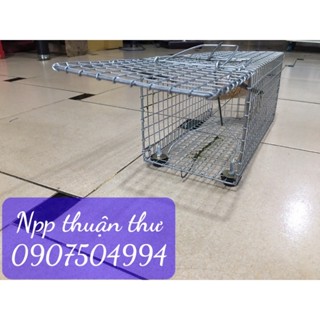 Lồng bẫy chuột có khoen cửa sập siêu nhạy