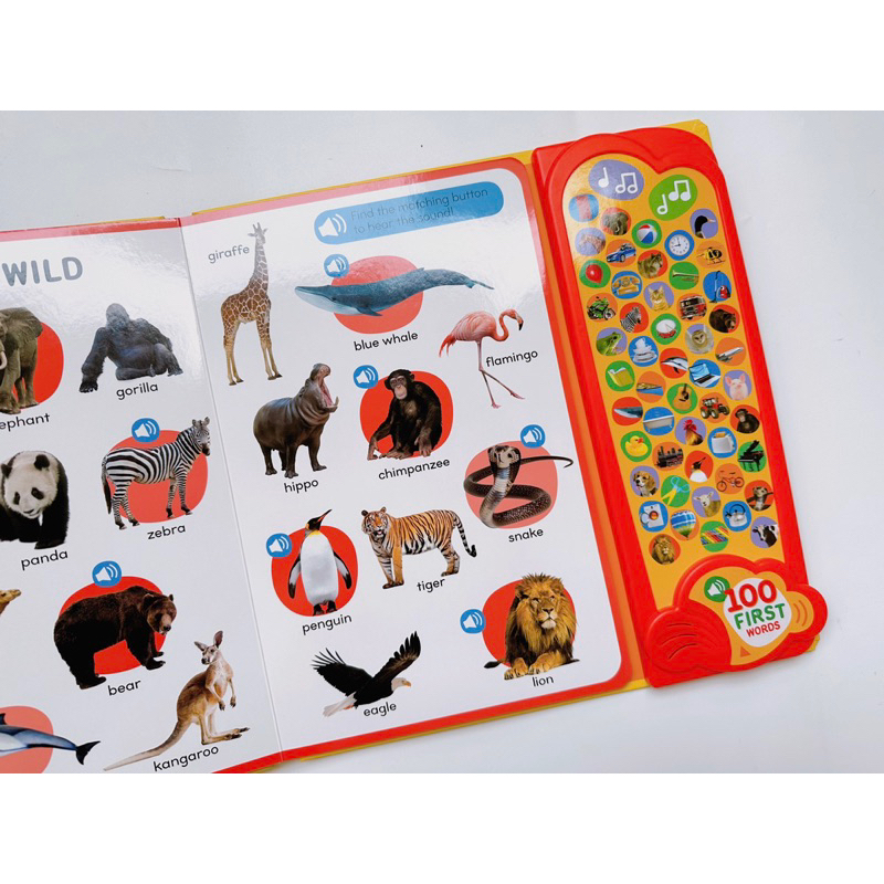 Bộ 50 Nút Âm Thanh- 50 Button Photo Sound Books First Phonics, First Words NPP