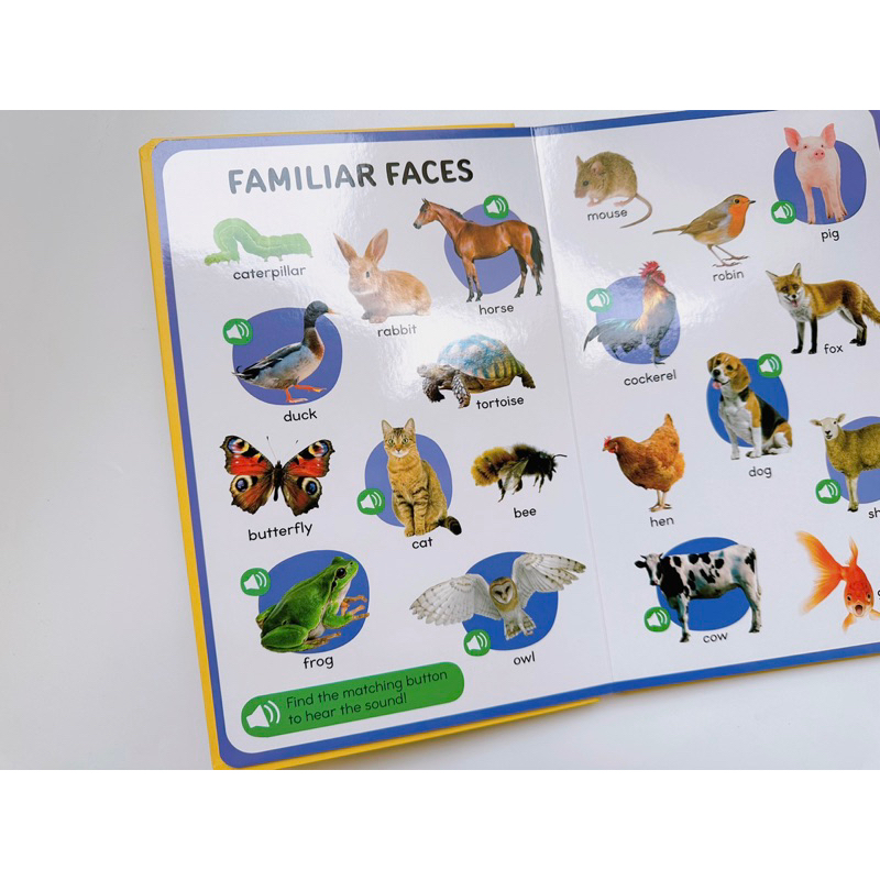 Bộ 50 Nút Âm Thanh- 50 Button Photo Sound Books First Phonics, First Words NPP