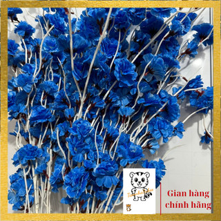 Cành đào râu , đào tết, trang trí decor