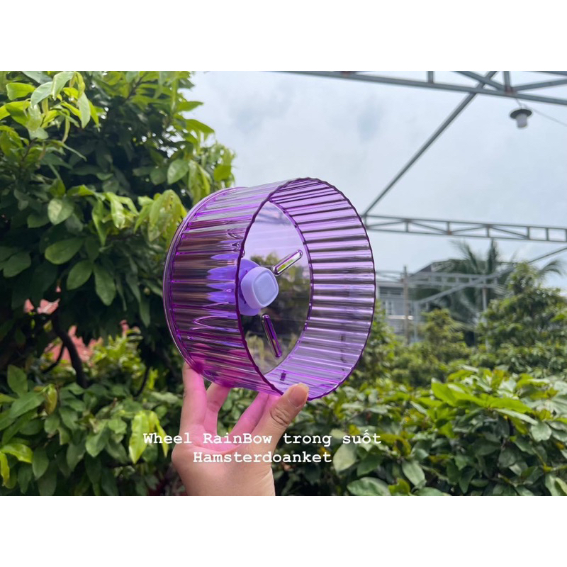WHEEL VẬN ĐỘNG CHO HAMSTER - Wheel RainBow trong suốt