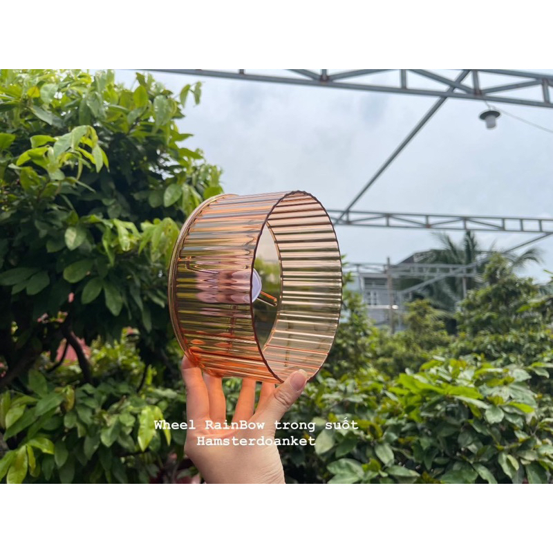 WHEEL VẬN ĐỘNG CHO HAMSTER - Wheel RainBow trong suốt