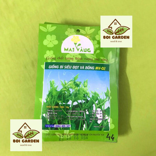 Hạt giống Bí Siêu Đọt và bông (163)