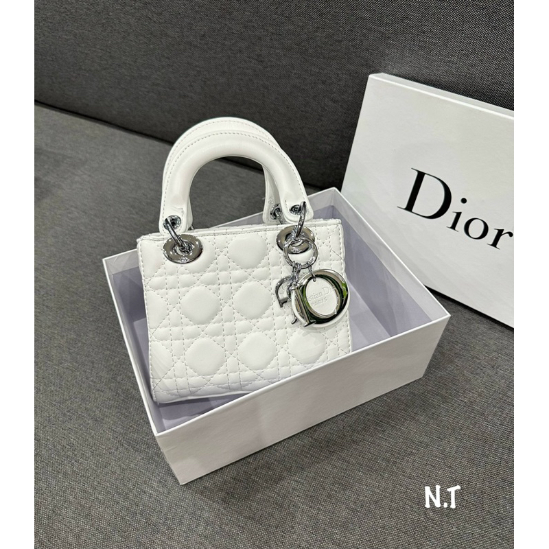 Túi xách da nhám sz 17cm siêu cấp khoá bạc Đì o lây đi kèm quai đeo chéo full box