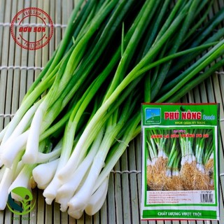 Hạt giống hành lá gốc trắng phú nông pn-02 phú nông - 2g