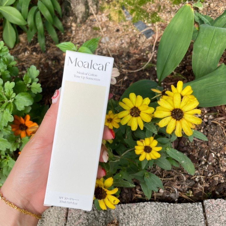 Kem thắp sáng da MOALEAF Cotton Tone Up Sunscreen Hàn Quốc - Hương Chất Group