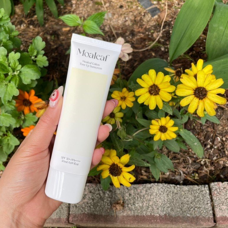 Kem thắp sáng da MOALEAF Cotton Tone Up Sunscreen Hàn Quốc - Hương Chất Group