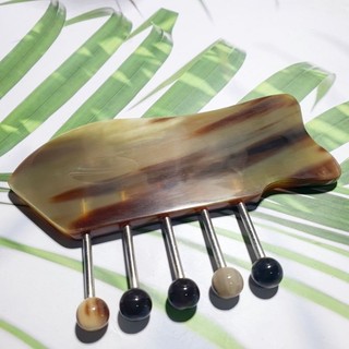 Lược cá sừng